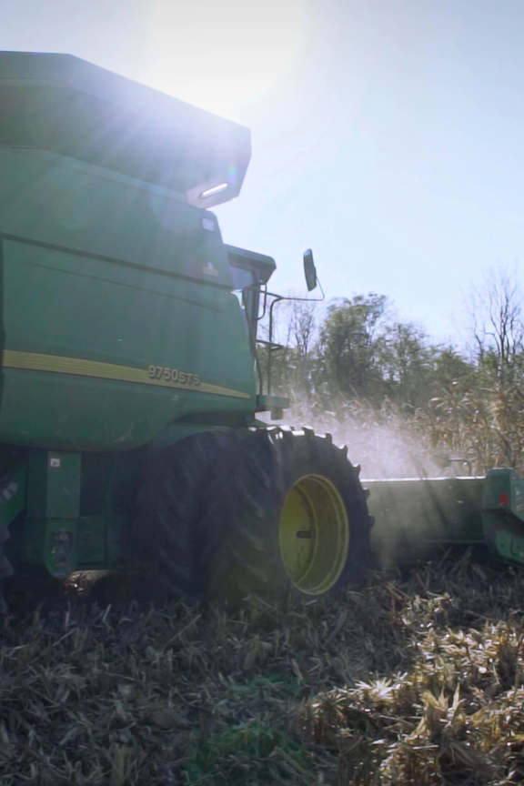 Combine harvesting corn field