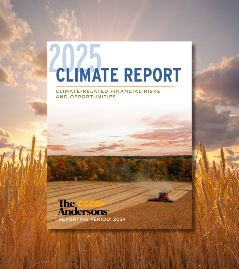 The cover of the 2025 TCFD Report over a wheatfield sunset