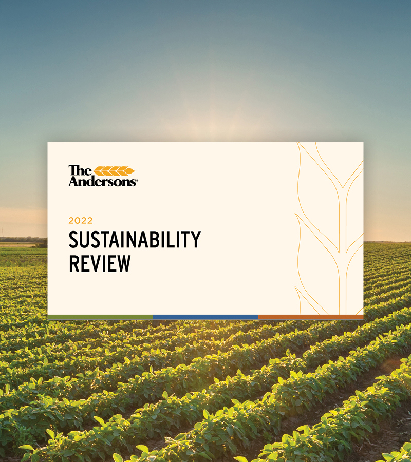 Graphic of the cover of the 2022 Sustainability Review