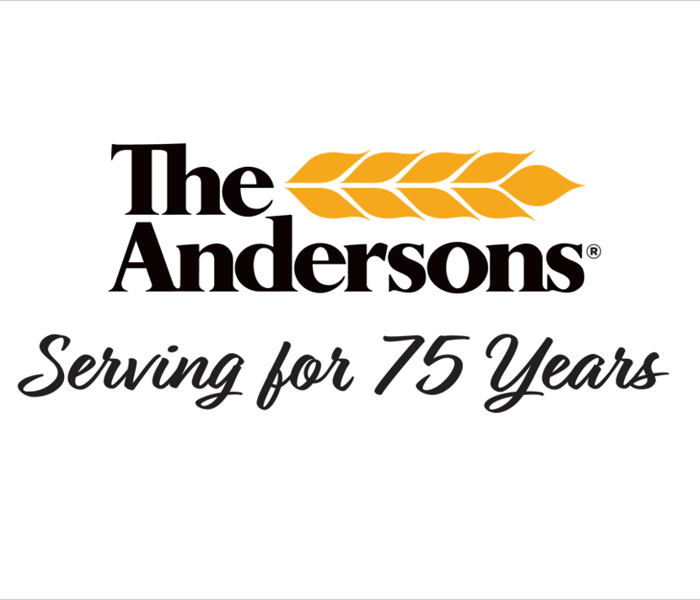 The Andersons Serving for 75 Years logo